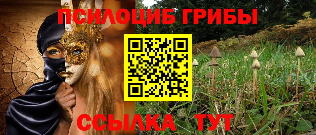Псилоцибиновые грибы мицелий Верхний Уфалей